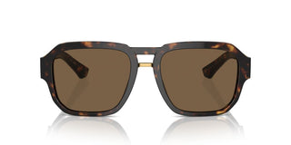 Dolce & Gabbana Dg 4464 Men Havana Pilot Sunglasses