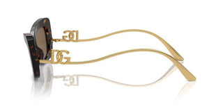 Dolce & Gabbana Dg 4467b Women Havana Cat Eye Sunglasses