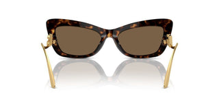 Dolce & Gabbana Dg 4467b Women Havana Cat Eye Sunglasses