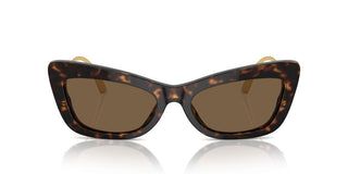 Dolce & Gabbana Dg 4467b Women Havana Cat Eye Sunglasses