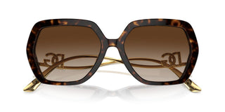 Dolce & Gabbana Dg 4468b Women Havana Oversize Sunglasses