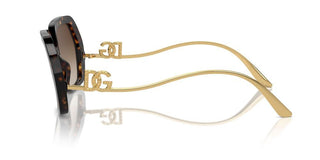 Dolce & Gabbana Dg 4468b Women Havana Oversize Sunglasses