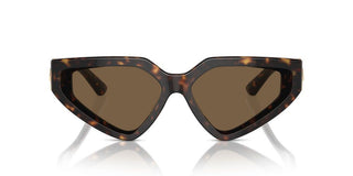 Dolce & Gabbana Dg 4469 Women Havana Butterfly Sunglasses