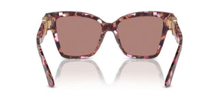 Dolce & Gabbana Dg 4470 Women Havana Butterfly Sunglasses