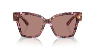 Dolce & Gabbana Dg 4470 Women Havana Butterfly Sunglasses