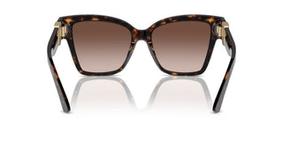 Dolce & Gabbana Dg 4470 Women Havana Butterfly Sunglasses