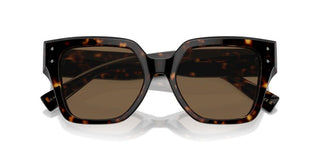 Dolce & Gabbana Dg 4471 Women Havana Butterfly Sunglasses