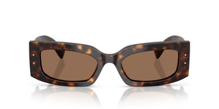 Dolce & Gabbana Dg 4479 Women Havana Rectangle Sunglasses