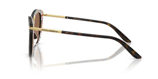 Dolce & Gabbana Dg 4492 Women Havana Butterfly Sunglasses