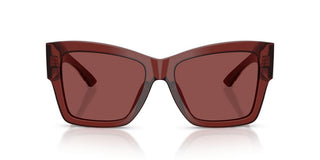 Dolce & Gabbana Dg 4493 Women Red Butterfly Sunglasses