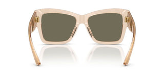 Dolce & Gabbana Dg 4493 Women Brown Butterfly Sunglasses