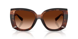 Dolce & Gabbana Dg 4495 Women Havana Butterfly Sunglasses