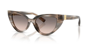Dolce & Gabbana Dg 4497 Women  Cat Eye Sunglasses