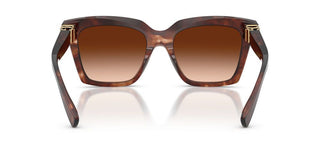 Dolce & Gabbana Dg 4498 Women Havana Butterfly Sunglasses