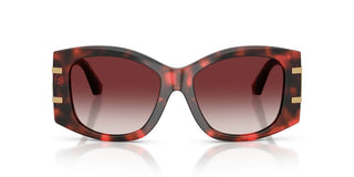 Dolce & Gabbana Dg 4501 Women Havana Oversize Sunglasses