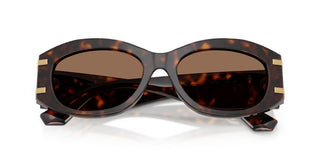 Dolce & Gabbana Dg 4502 Women Havana Oval Sunglasses