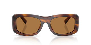 Dolce & Gabbana Dg 4503 Men Havana Geometric Sunglasses
