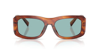 Dolce & Gabbana Dg 4503 Men Havana Geometric Sunglasses