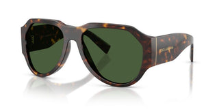 Dolce & Gabbana Dg 4504 Men Havana Pilot Sunglasses