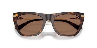 Dolce & Gabbana DG 4511 women Havana Cat Eye Sunglasses