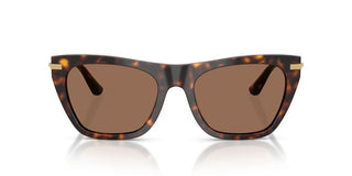 Dolce & Gabbana DG 4511 women Havana Cat Eye Sunglasses