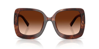 Dolce & Gabbana DG 4513 women Havana Butterfly Sunglasses