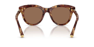 Dolce & Gabbana DG 4518 women Havana Pantos Sunglasses
