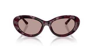 Dolce & Gabbana DG 4519 women Havana Oval Sunglasses