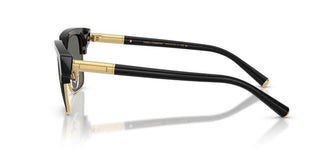 Dolce & Gabbana DG 4522 men 0 Squared Sunglasses