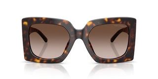 Dolce & Gabbana DG 4525B women Havana Butterfly Sunglasses