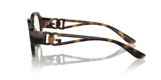 Dolce & Gabbana Dg 5111 Unisex Havana Pantos Eyeglasses