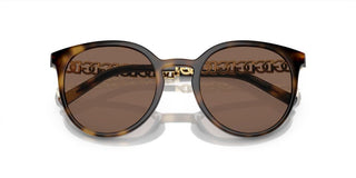 Dolce & Gabbana DG 6189U women Havana Pantos Sunglasses