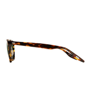 BARTON PERREIRA Dino Dino unisex Havana Pantos Sunglasses