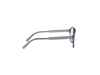 DIOR DiorBotanicaO A1I unisex Blue Pilot Eyeglasses