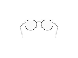 DIOR DiorBotanicaO DiorBotanicaO R2U men Silver Pantos Eyeglasses