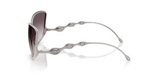 Diesel Dl 1013 Unisex Ruthenium Other Sunglasses