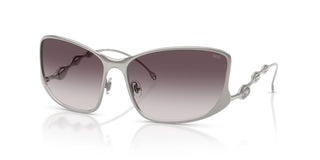 Diesel Dl 1013 Unisex Ruthenium Other Sunglasses