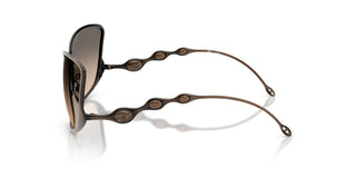 Diesel Dl 1013 Unisex Brown Other Sunglasses