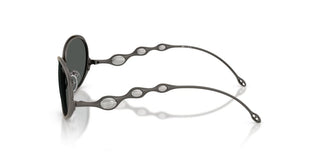 Diesel DL 1014 unisex Ruthenium Other Sunglasses