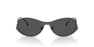 Diesel DL 1014 unisex Ruthenium Other Sunglasses