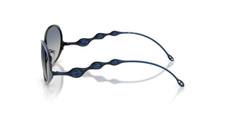 Diesel DL 1014 unisex Blue Other Sunglasses