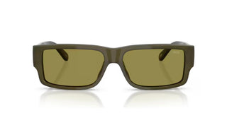 Diesel DL 2003 men Green Rectangle Sunglasses