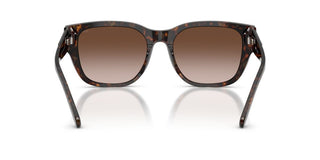 Diesel Dl 2005 Unisex Havana Squared Sunglasses