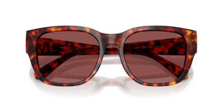 Diesel Dl 2005 Unisex Havana Squared Sunglasses