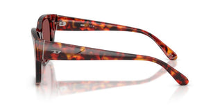 Diesel Dl 2005 Unisex Havana Squared Sunglasses