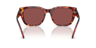 Diesel Dl 2005 Unisex Havana Squared Sunglasses