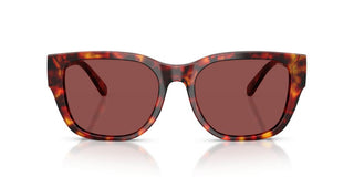 Diesel Dl 2005 Unisex Havana Squared Sunglasses