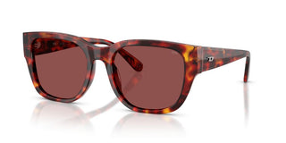 Diesel Dl 2005 Unisex Havana Squared Sunglasses