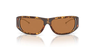 Diesel Dl 3001 Unisex Havana Other Sunglasses