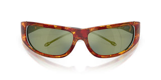 Diesel Dl 3001 Unisex Red Other Sunglasses